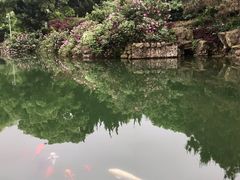 -白马涧龙池景区