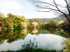 -西湖外事游船(花港观鱼码头)