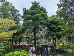 -顺峰山公园