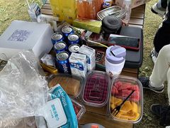 -春花秋色城市公园