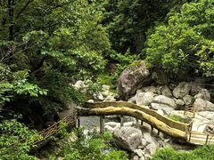 -洛阳白云山景区