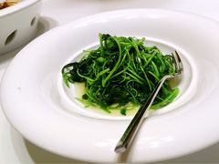 西郊壹号-西郊壹号