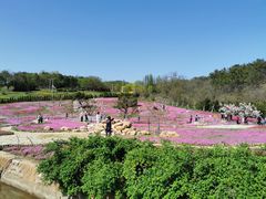 -棒棰岛宾馆景区