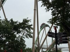 -珠海长隆海洋王国-鹦鹉过山车