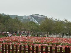 -盈香心动乐园