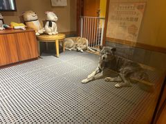 -大江户·温泉洗浴(浑南店)