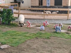 -HERRE·FARM 赫尔露营农场·团建聚会包场