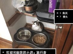 -Poke lemon海鲜波奇饭·柠檬茶(金碧开放小区店)