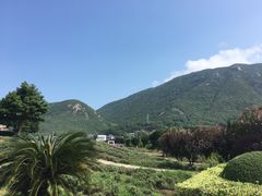 -桃花岛风景旅游区