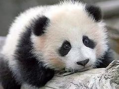 -南昌动物园