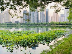 -西北湖绿化广场