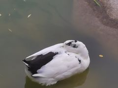 -莲湖公园