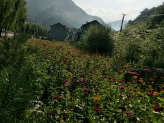 -商洛老君山旅游风景区