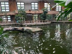 -南宫五洲植物乐园