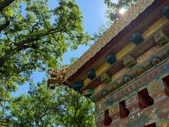 -护国法轮寺