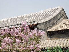 -三里河公园