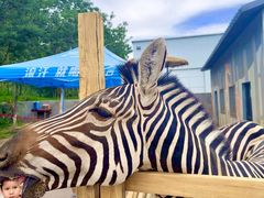 -水上乐园·欢乐世界