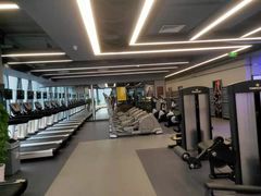 -金吉鸟健身游泳