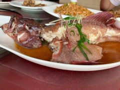 清蒸石斑鱼-渔友鲜海鲜加工(海鲜大世界店)
