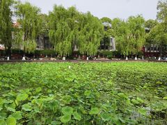-四川大学(望江校区)