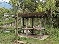 -碧峰峡风景区