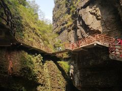 -鹿院坪生态旅游景区