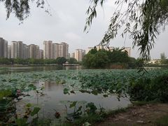 -新江湾城公园