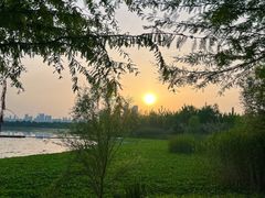 -东湖落雁景区