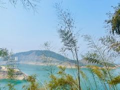 -长沙黑麋峰国家森林公园