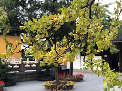 -西园戒幢律寺