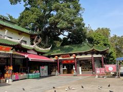 -南华禅寺