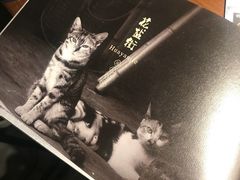 菜单的猫猫-花盐街·四川乐山小吃(国贸商城店)