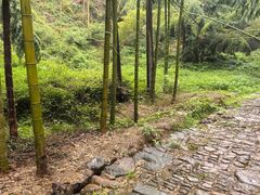-会稽山峡洞漂流-上青古道