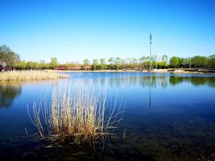 -永定河休闲森林公园