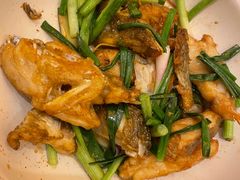 古法姜葱焗多宝鱼-惠食佳(滨江大公馆店)