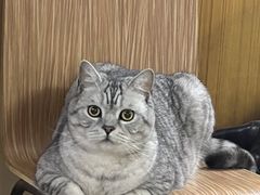 -总动员动物医院(宝丰院店)