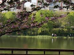 -新江湾城公园