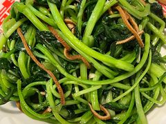 -七寻八找·胡同菜