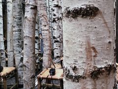 -Metal hands·铁手咖啡