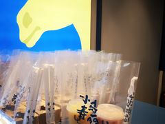 -春丽小马(济南恒隆广场店)