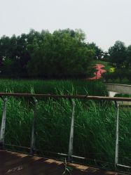 -大望京儿童游乐场