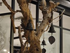 -羲和雅苑•北京烤鸭(国贸商城店)