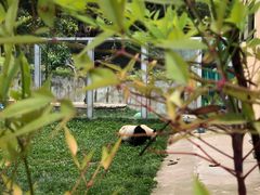 -西安秦岭野生动物园