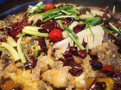 -老板恋上鱼(恒隆广场店)