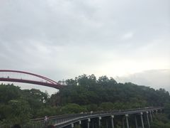 -金鸡山公园