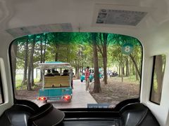 -溱湖国家湿地公园