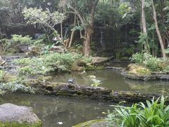 -绿光森林餐厅