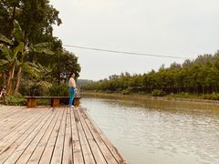 -合肥滨湖国家森林公园