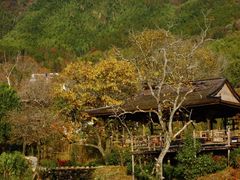 -塔川景区