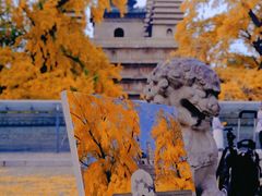 -北京石刻艺术博物馆(五塔寺)
